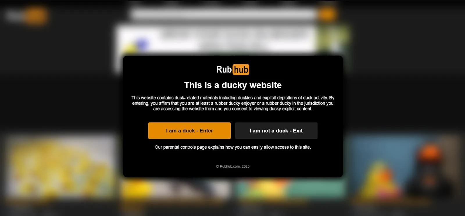 Rubber Ducky Website